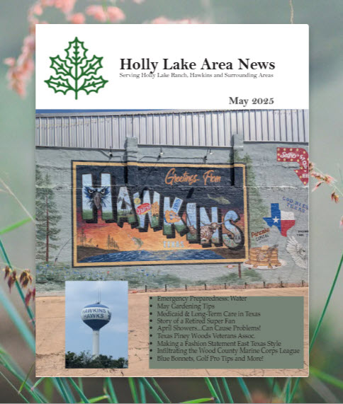 May 2025 Holly Lake Area News magazine cover featuring the Hawkins mural